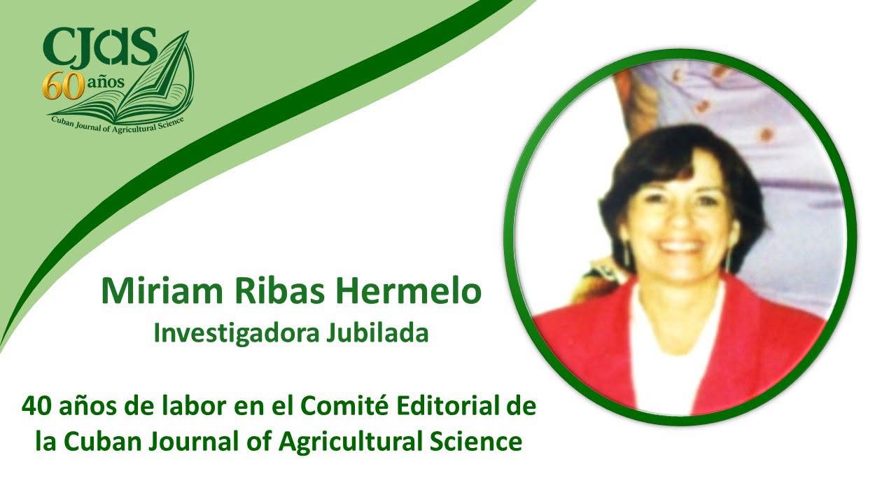 Empresa Tecnológica