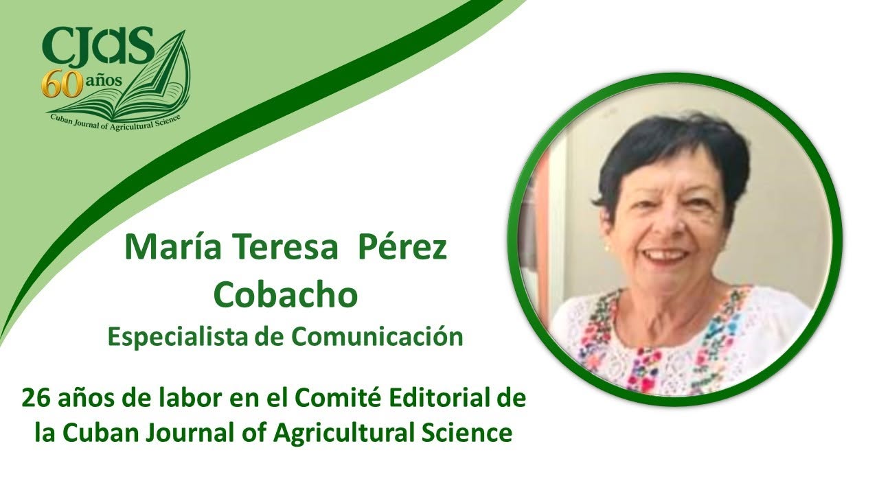 Empresa Tecnológica