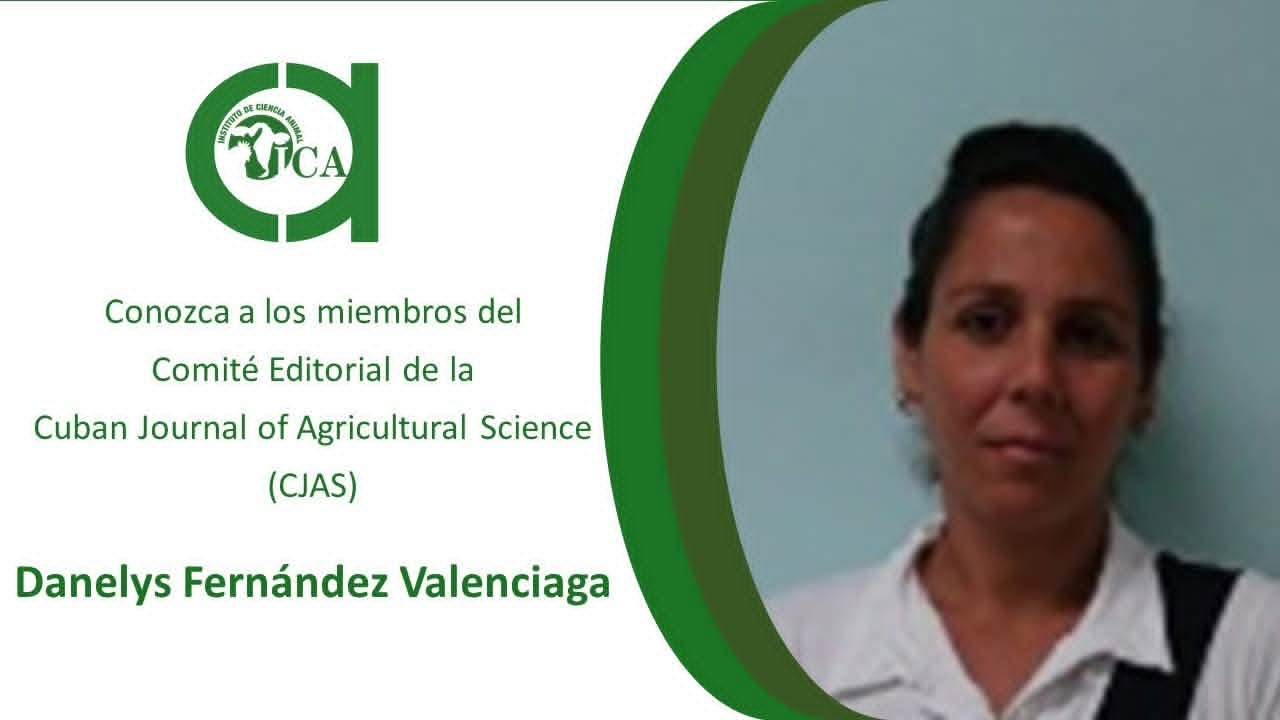 Empresa Tecnológica