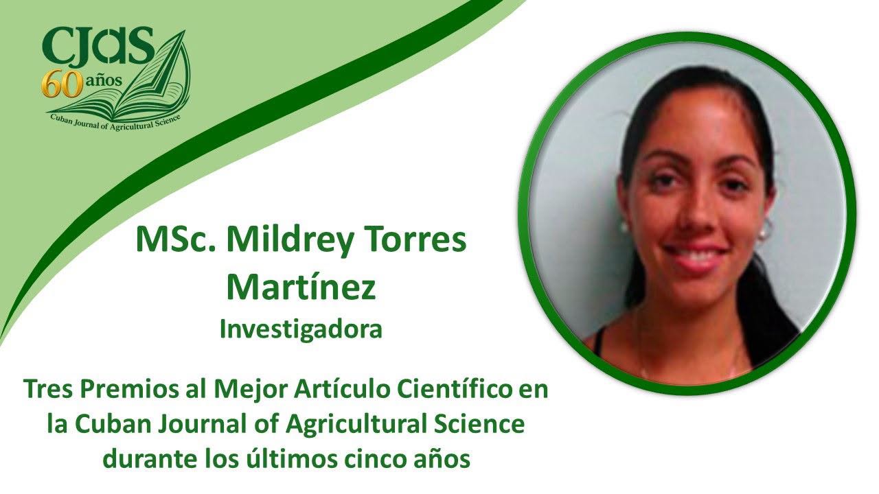 Empresa Tecnológica